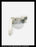 General Electric AK-2A-25 Breaker Lower Stud Assembly (Not Used on AK-3 or AK-3A) - P/N: 269C258G1