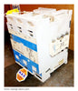 W200M5CFC ~ Westinghouse W200M5CFC Size 5 Starter ~ 1A96725G01